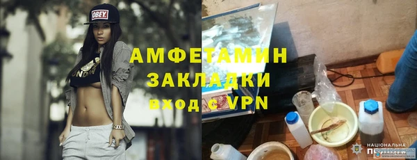 молекула духа Вяземский