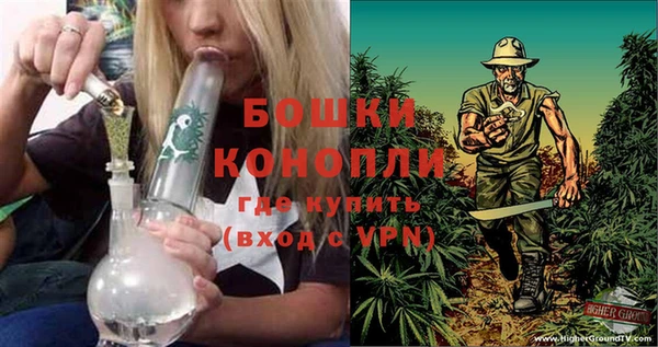 молекула духа Вяземский