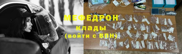 молекула духа Вяземский