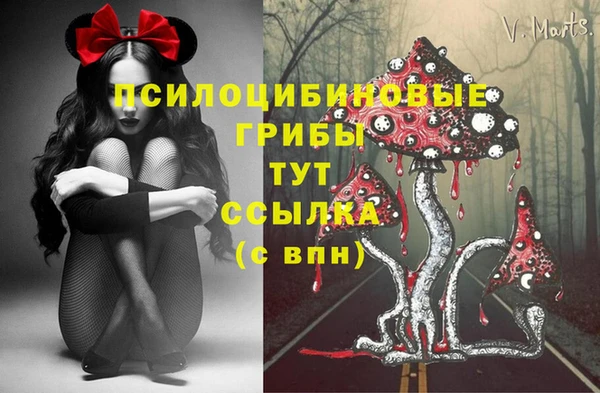 молекула духа Вяземский