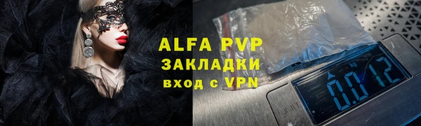 молекула духа Вяземский