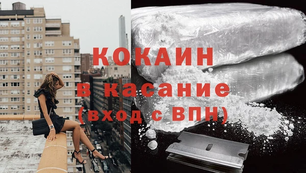 молекула духа Вяземский