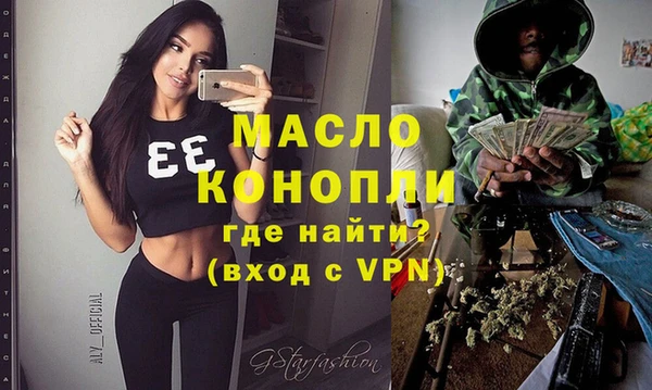 молекула духа Вяземский