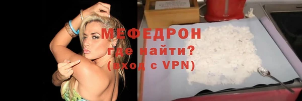 молекула духа Вяземский