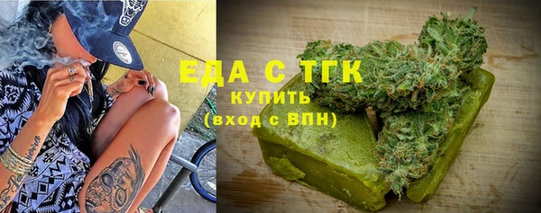 молекула духа Вяземский