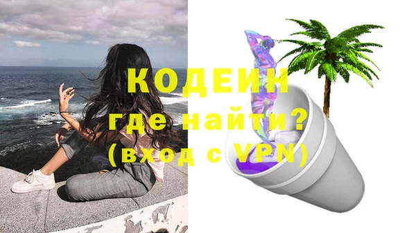 молекула духа Вяземский