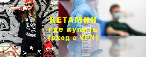 молекула духа Вяземский